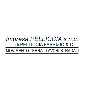Pelliccia